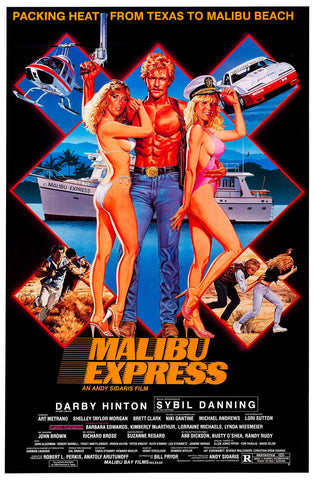 Malibu Express (1985) Movie Poster